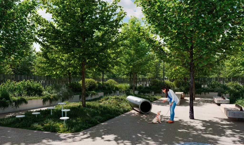 Изображение STONE